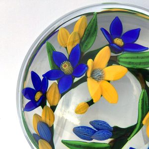 Stars of the Northern Sky Pwt by Colin Richardson